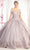 May Queen LK178 - Lace Detailed Quinceanera Ballgown Quinceanera Dresses 4 / Rose Gold