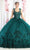 May Queen LK180 - Floral Applique Quinceanera Ballgown Ball Gowns 4 / Hunter Green