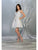 May Queen - MQ1777 Sleeveless V-Neck Glitter A-Line Dress Cocktail Dresses 2 / Silver