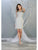 May Queen - MQ1808 Appliqued Illusion Bodice Sheath Dress Party Dresses 4 / Silver