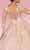MNM COUTURE W2105 - Illusion Long Sleeve A-Line Dress Special Occasion Dress