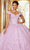 Mori Lee 34063 - 3D Florals Quinceanera Ballgown Quinceanera Dresses