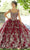Mori Lee - 60132 Metallic Embroidered Ballgown Quinceanera Dresses 00 / Wine/Gold