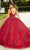 Mori Lee - 60133 Floral Applique Ballgown With Bolero Special Occasion Dress