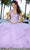 Mori Lee 60161 - Embellished Bodice Ballgown Ball Gowns 00 / Orchid/Nude
