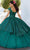 Mori Lee 60162 - V Neck Embellished Quinceanera Gown Prom Dresses
