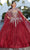 Mori Lee 60166 - Glittered Tulle Quinceanera Ballgown Ball Gowns 00 / Sangria