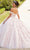 Mori Lee - 89301 3D Floral Appliqued Embellished Ballgown Quinceanera Dresses