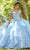 Mori Lee - 89303 Floral Applique Glitter Tulle Ballgown Quinceanera Dresses 00 / Bahama Blue