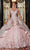 Mori Lee 89331 - Embellished Tulle Quinceañera Dress Ball Gowns 00 / Blush