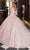 Mori Lee 89339 - Embroidered Tulle Quinceanera Ballgown Quinceanera Dresses