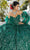 Mori Lee 89353 - 3D Floral Glittery Ballgown Ball Gowns