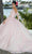 Mori Lee 89360 - Shimmered Tulle Quinceañera Dress Prom Dresses