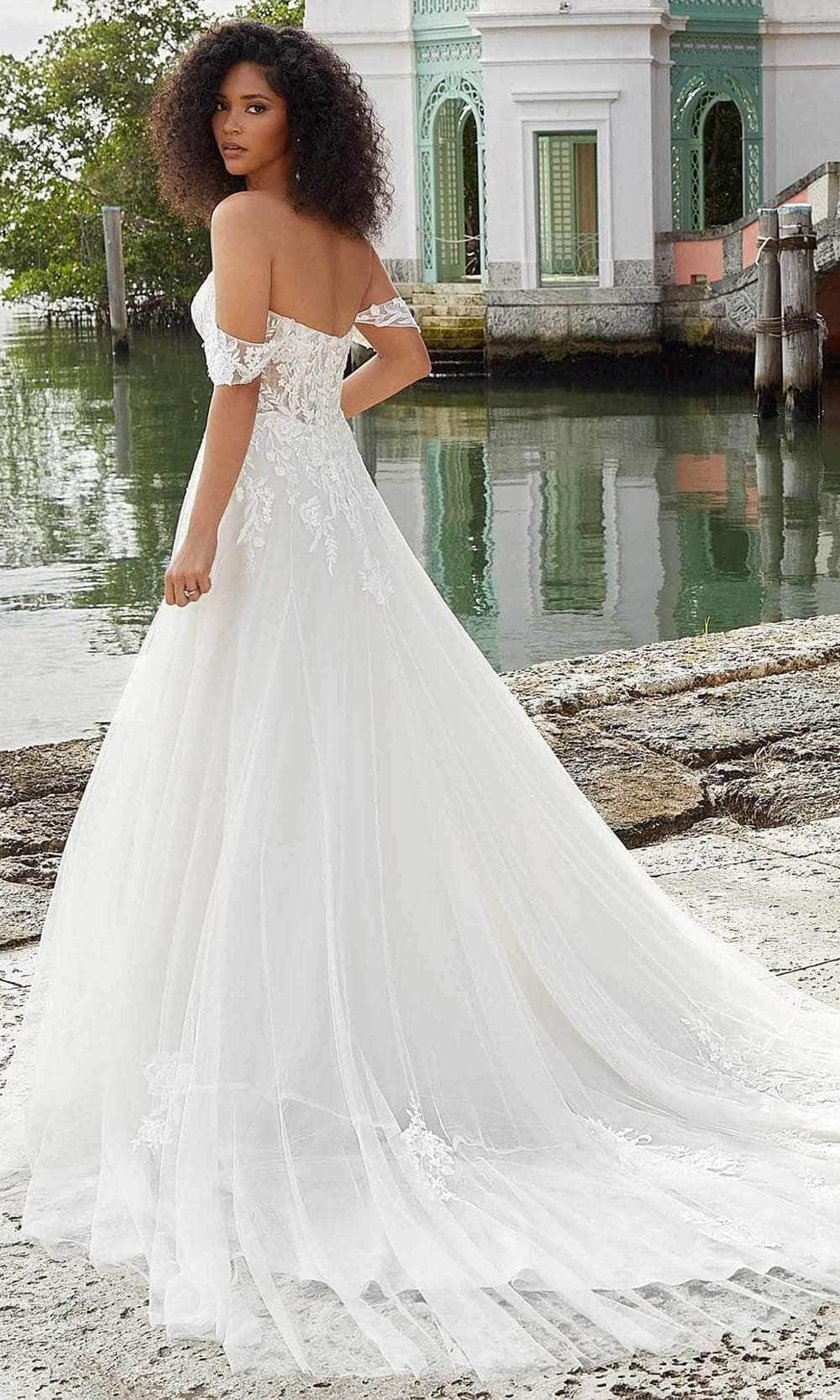 Elegant Long A-line V Neck Spaghetti Straps Lace Tulle Wedding Dresses –  BIZTUNNEL
