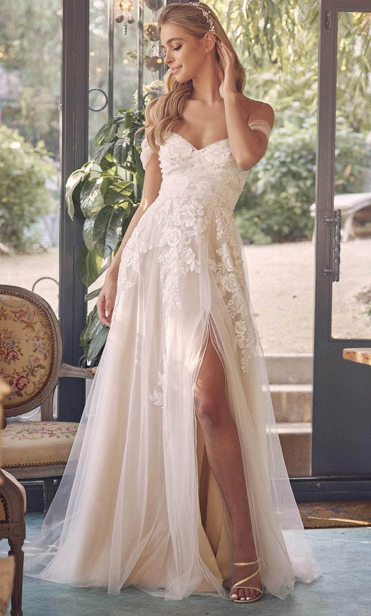 Classic Off the Shoulder A-Line Wedding Dresses Plus Size V Neck Bride Gowns Appliques Zipper Floor Length Tulle Robe De Mariee
