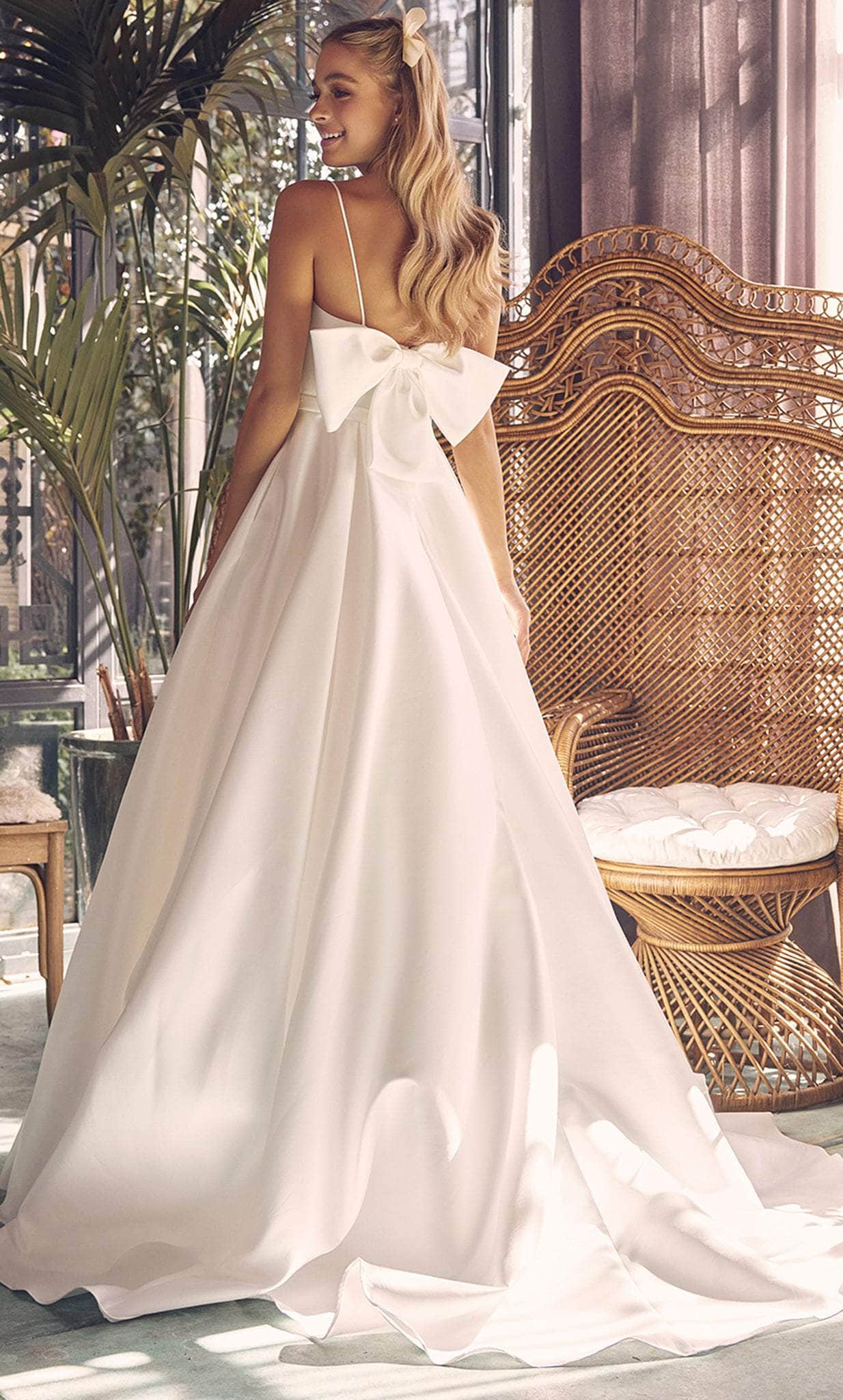 Nox Anabel Ball Gown Wedding Dress Corset x Back 16