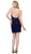 Nox Anabel - Lace Appliqued High Halter Illusion Dress 6309 - 2 pcs Navy Blue In Sizes M and L Available CCSALE