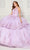 Princesa by Ariana Vara PR30082 - Floral Halter Ballgown Quinceanera Dresses 00 / Lilac