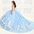 Princesa by Ariana Vara PR30083 - Floral Laced Ballgown Special Occasion Dress
