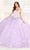 Princesa by Ariana Vara PR30084 - Blossom Ornate Ballgown Quinceanera Dresses 00 / Lavender/Light Gold
