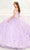 Princesa by Ariana Vara PR30084 - Blossom Ornate Ballgown Quinceanera Dresses