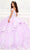 Princesa by Ariana Vara PR30089 - Off Shoulder Pleated Ballgown Ball Gowns