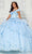 Princesa by Ariana Vara PR30113 - Sweetheart Appliqued Ballgown Ball Gowns 00 / Light Blue