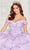 Princesa by Ariana Vara PR30113 - Sweetheart Appliqued Ballgown In Purple