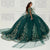 Princesa by Ariana Vara PR30114 - Metallic Applique Ballgown Special Occasion Dress