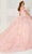 Princesa by Ariana Vara PR30116 - Floral Ruffled Back Ballgown Ball Gowns