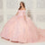 Princesa by Ariana Vara PR30116 - Floral Ruffled Back Ballgown Special Occasion Dress
