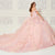 Princesa by Ariana Vara PR30116 - Floral Ruffled Back Ballgown Special Occasion Dress