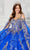 Princesa by Ariana Vara PR30117 - Off Shoulder Gilded Ballgown Quinceanera Dresses