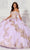 Princesa by Ariana Vara PR30118 - Applique Sweetheart Ballgown Quinceanera Dresses 00 / Lilac/Gold