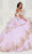 Princesa by Ariana Vara PR30118 - Applique Sweetheart Ballgown Quinceanera Dresses