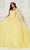 Princesa by Ariana Vara PR30120 - Off Shoulder Floral Tulle Ballgown Quinceanera Dresses 00 / Yellow