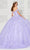 Princesa by Ariana Vara PR30120 - Off Shoulder Floral Tulle Ballgown Quinceanera Dresses
