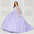 Princesa by Ariana Vara PR30120 - Off Shoulder Floral Tulle Ballgown Special Occasion Dress