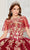 Princesa by Ariana Vara PR30121 - Strapless Embroidered Ballgown Quinceanera Dresses