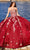 Princesa by Ariana Vara PR30121 - Strapless Embroidered Ballgown Quinceanera Dresses
