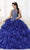 Quinceanera Collection - 26871 Embellished Sleeveless Ballgown Special Occasion Dress
