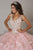 Quinceanera Collection - 26921 Sleeveless Beaded Bodice Ballgown Special Occasion Dress