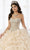 Quinceanera Collection - Strapless Beaded Ruffle Ballgown 26845 - 1 pc Champagne In Size 6 Available CCSALE 6 / Champagne