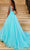 Rachel Allan 50137 - Sleeveless Empire Ballgown Special Occasion Dress