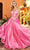 Rachel Allan 70403 - Strapless Corset Bodice Ballgown Special Occasion Dress 00 / Pink