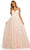 Sherri Hill 55529 - Floral Applique A-line Silhouette Gown Prom Desses 000 / Ivory/Blush