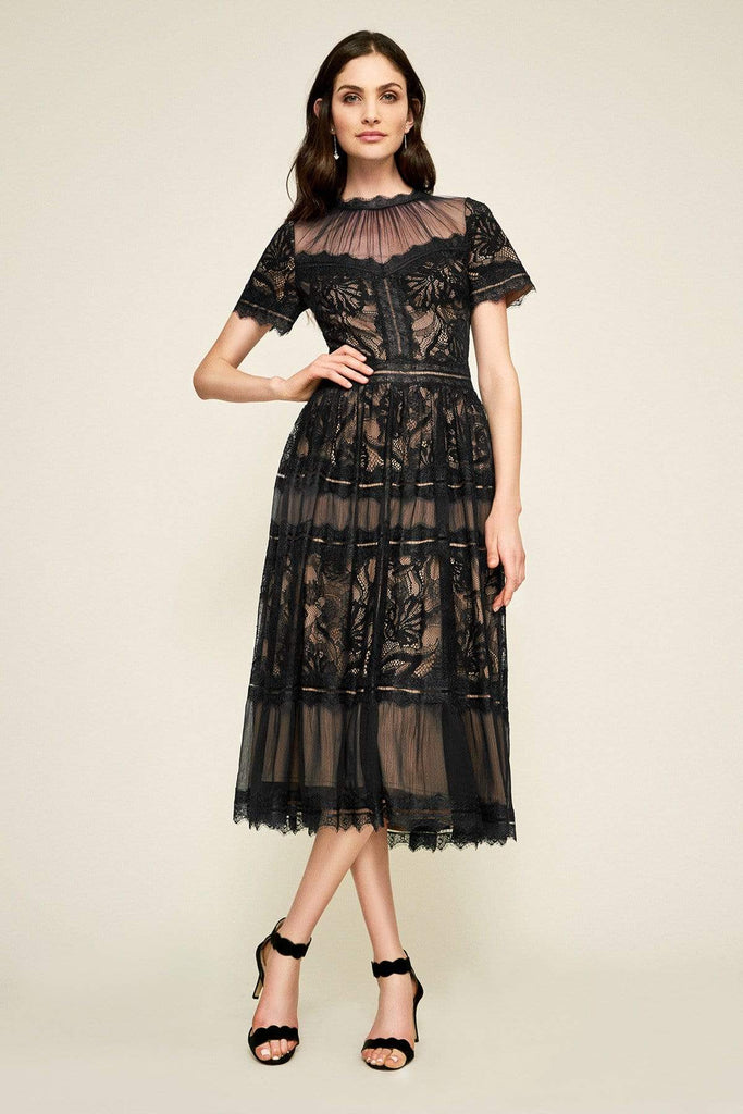 Tadashi Shoji - Illusion Neckline Sheer Lace Tea Length Dress Couture Candy Tadashi Shoji - Illusion Neckline Sheer Lace Tea Length Dress Couture Candy