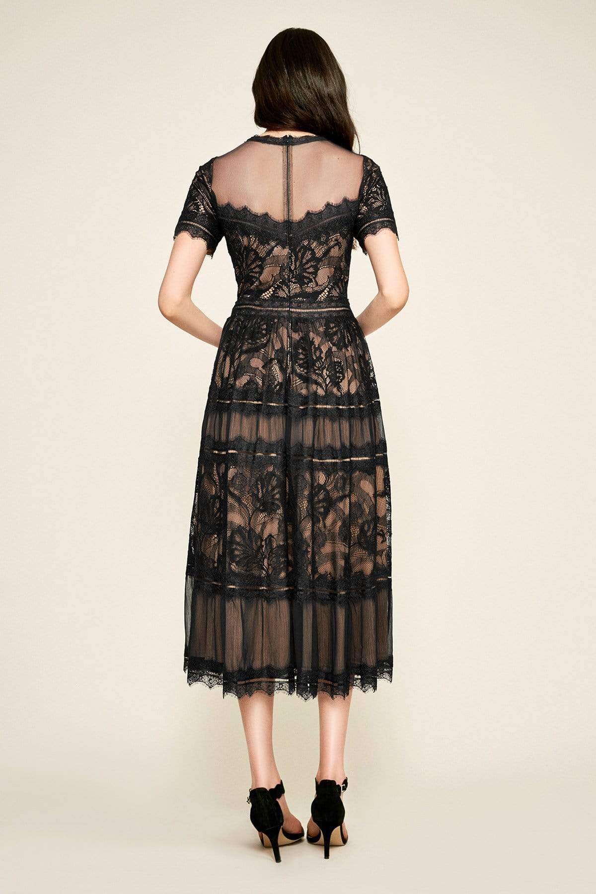 Tadashi Shoji - Illusion Neckline Sheer Lace Tea Length Dress
