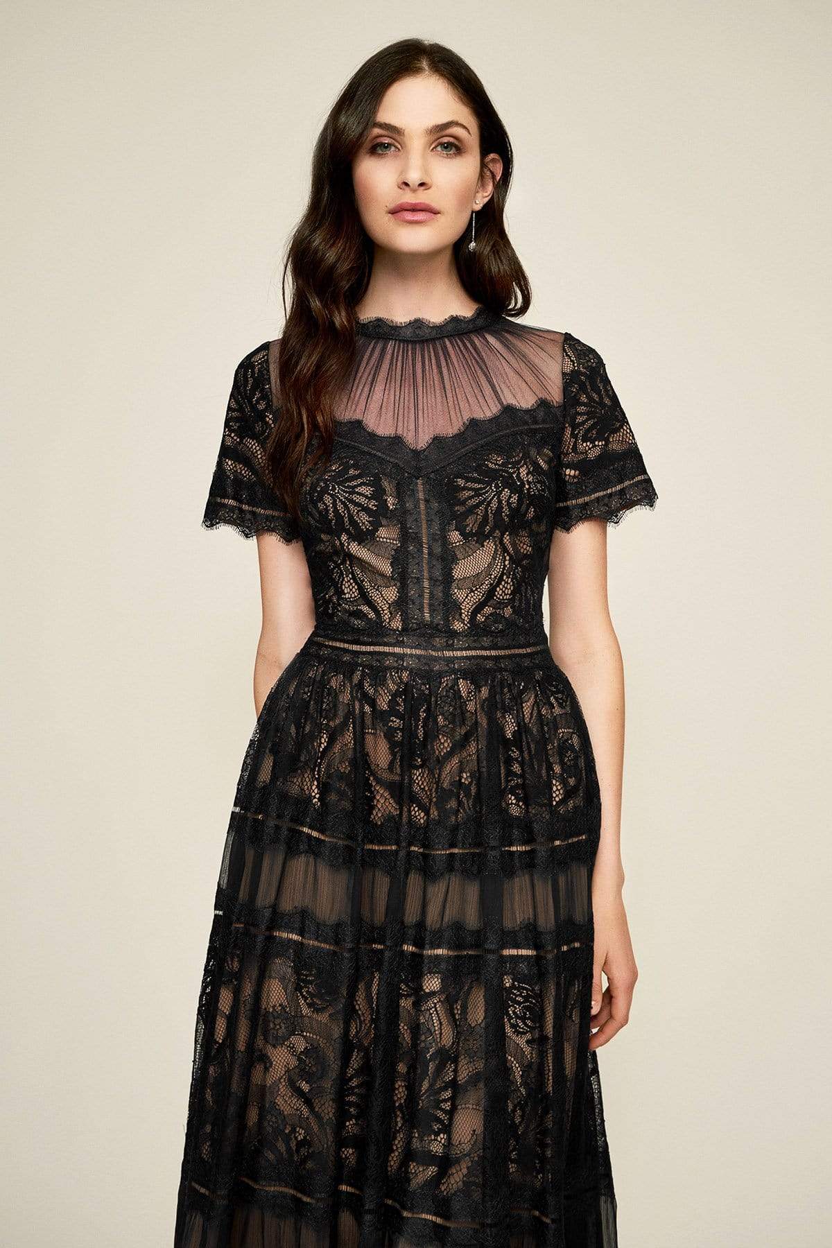 Tadashi Shoji - Illusion Neckline Sheer Lace Tea Length Dress