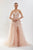 Tarik Ediz 52135 - Floral Embroidered Soft Tulle Gown Prom Dresses 0 / Ice Pink